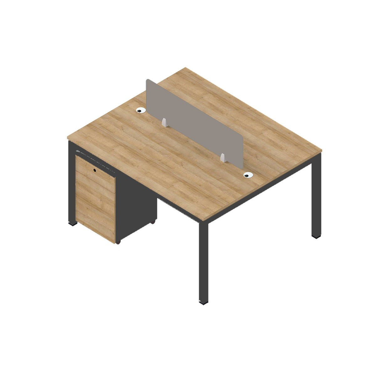 Dual Workstation