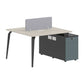 Dual Workstation