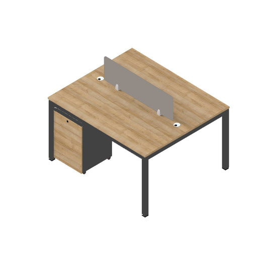Dual Workstation