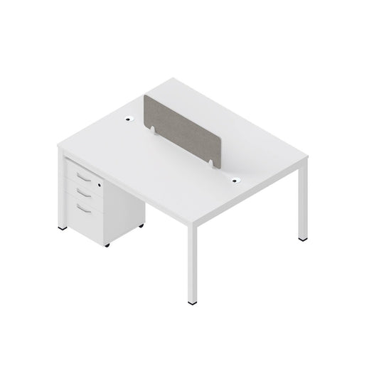 Dual Workstation